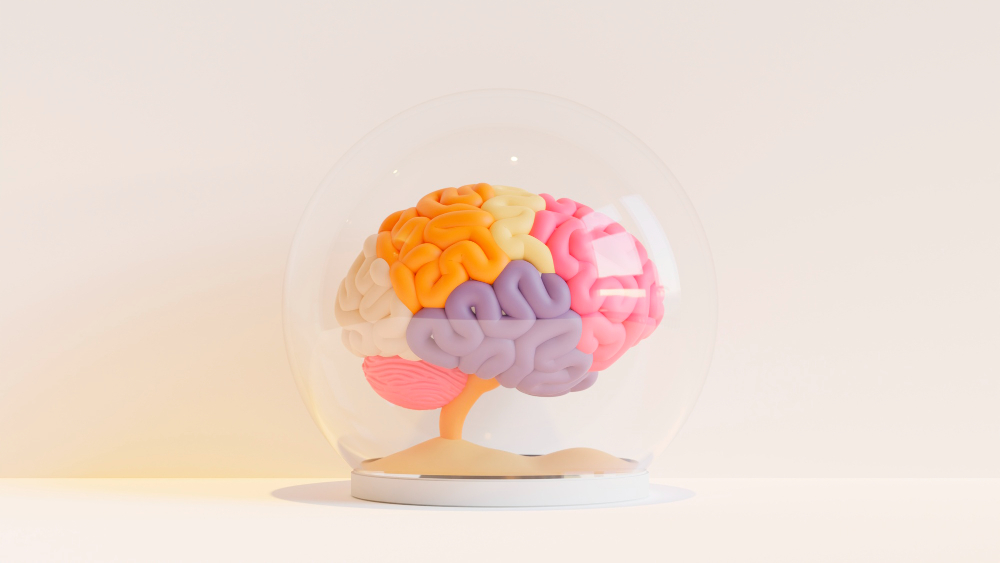 Psicologia online en Madrid, cerebro de colores en una capsula de cristal