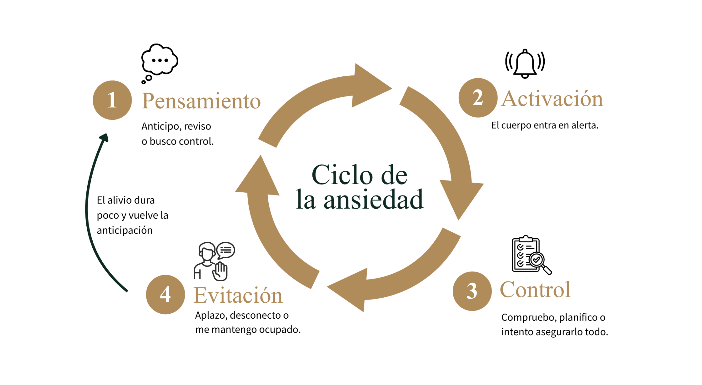 Ciclo de la ansiedad por Alejandro Frutos Psicólogo Online