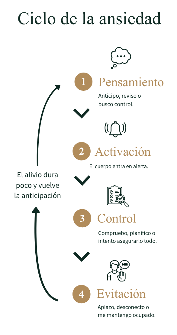 Ciclo de la ansiedad por Alejandro Frutos Psicólogo Online